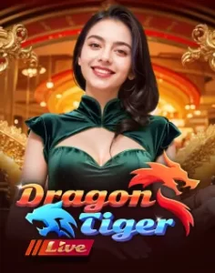 FBMPLAY live dealer experience with premium online gaming atmosphere